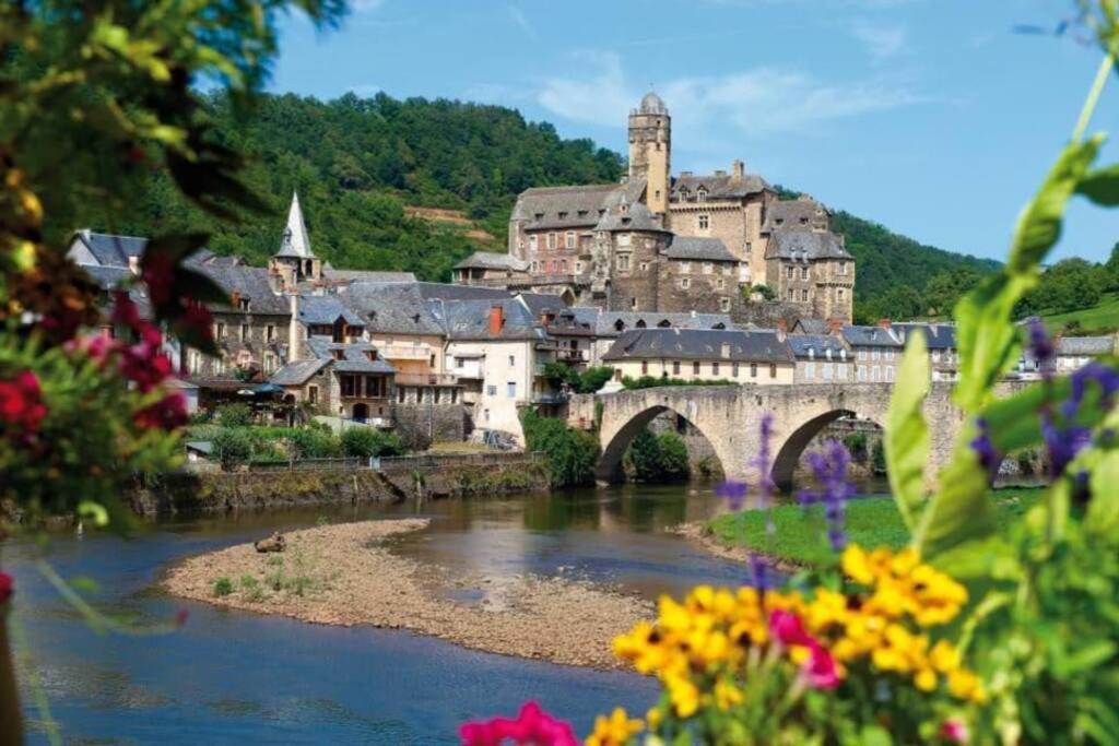T 2 Dans Village Vacances 3 *** A Saint Geniez 2 Piscines Chauffee Pierrefiche  Zewnętrze zdjęcie